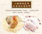 㶫زԶ鼦